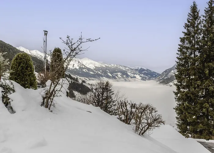 Апартаменты Alpenapartment By Interhome Бадгаштейн